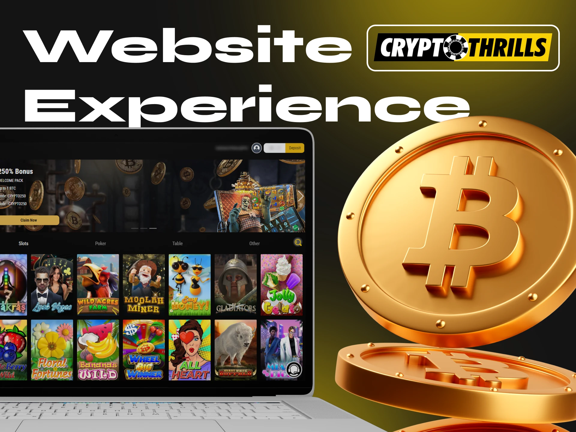 Cryptothrills Casino has a user-friendly website and a variety of casino games.