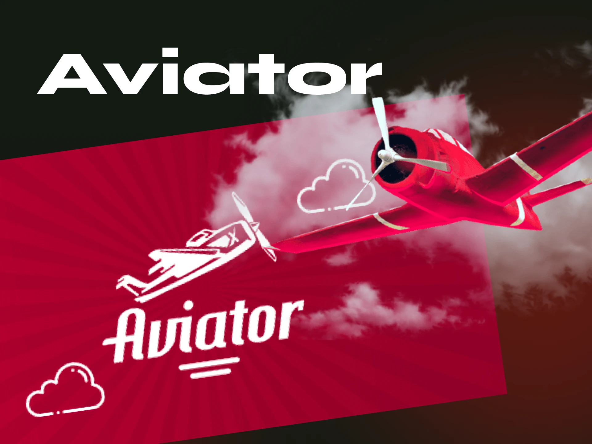 What a player needs to do in the game Aviator.