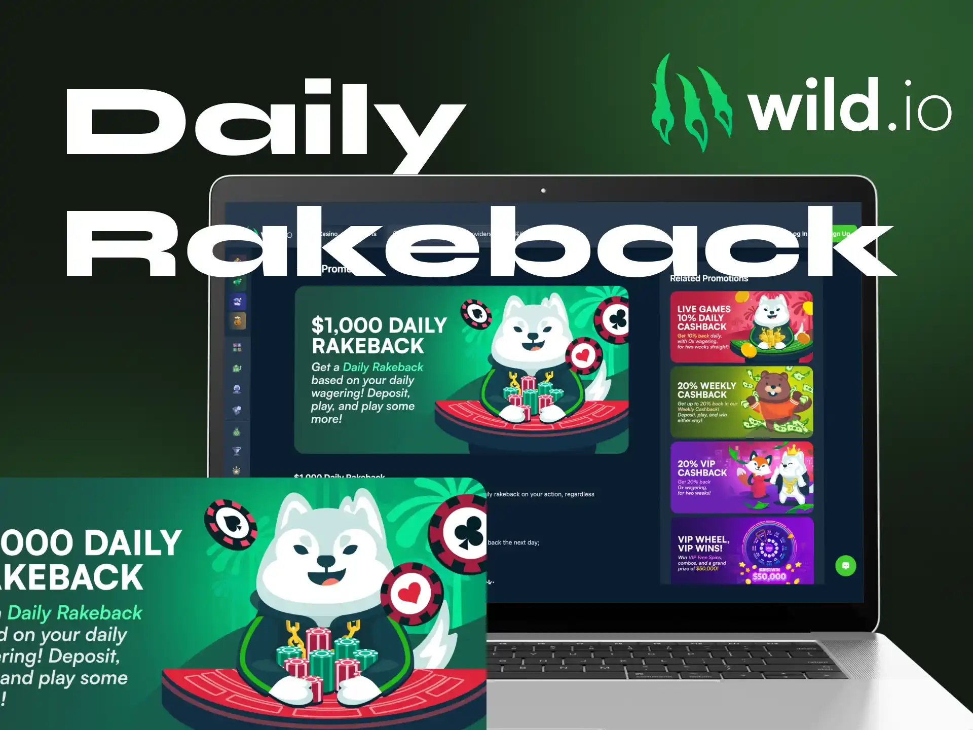 What is the size of the Daily Rakeback bonus at Wildio online casino.