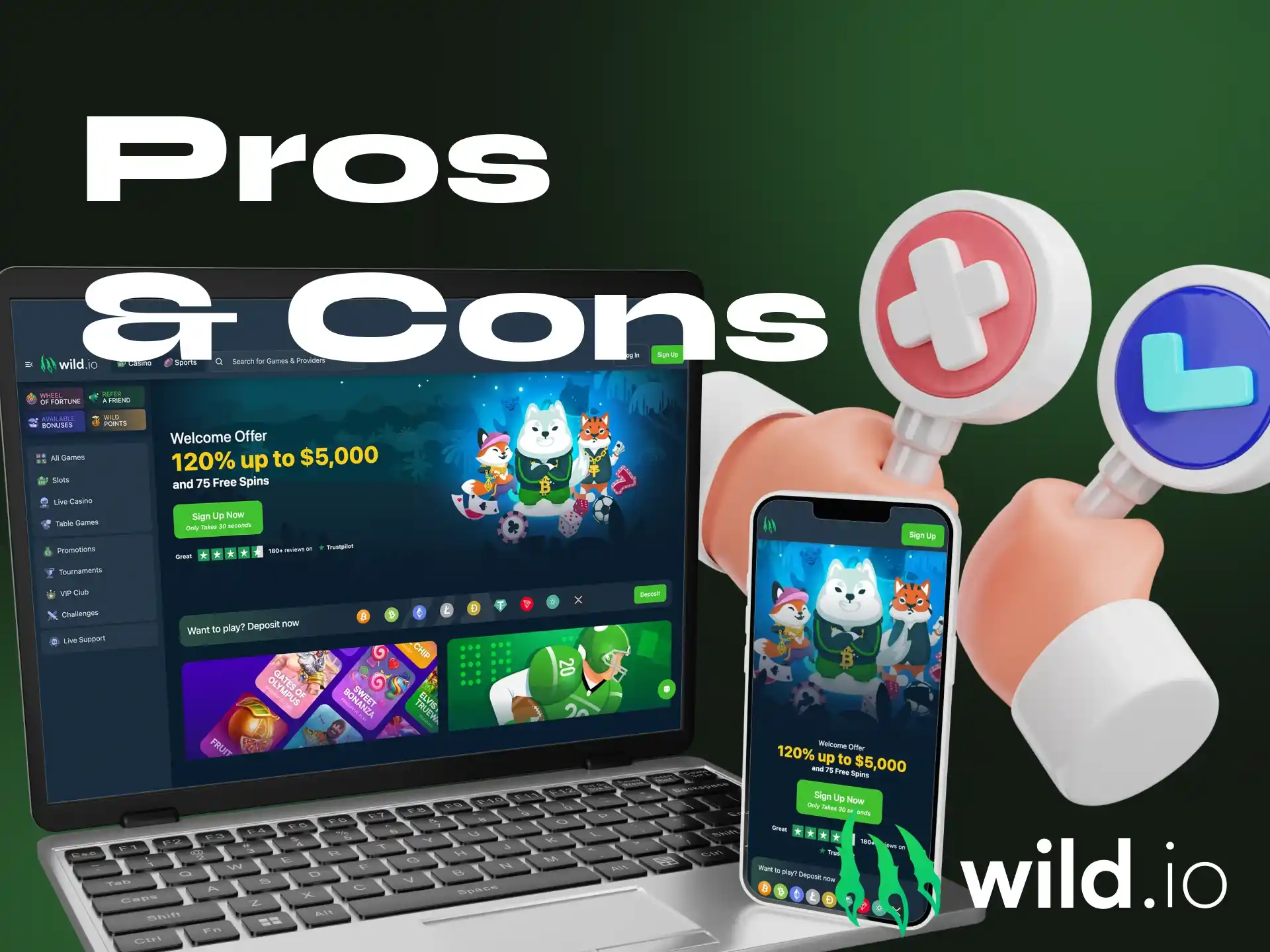 What are the advantages of the Wildio online casino.