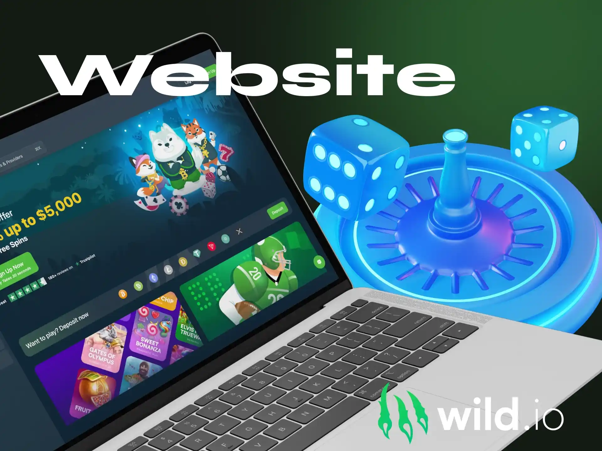 What the interface looks like on the Wildio online casino website.